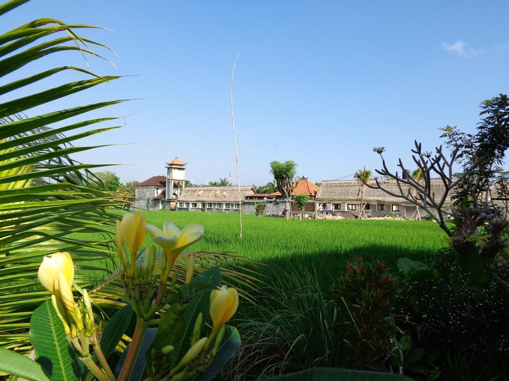 Bening Bungalow Ubud Eksteriør billede
