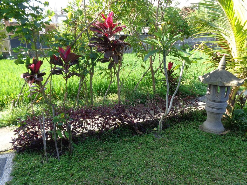 Bening Bungalow Ubud Eksteriør billede