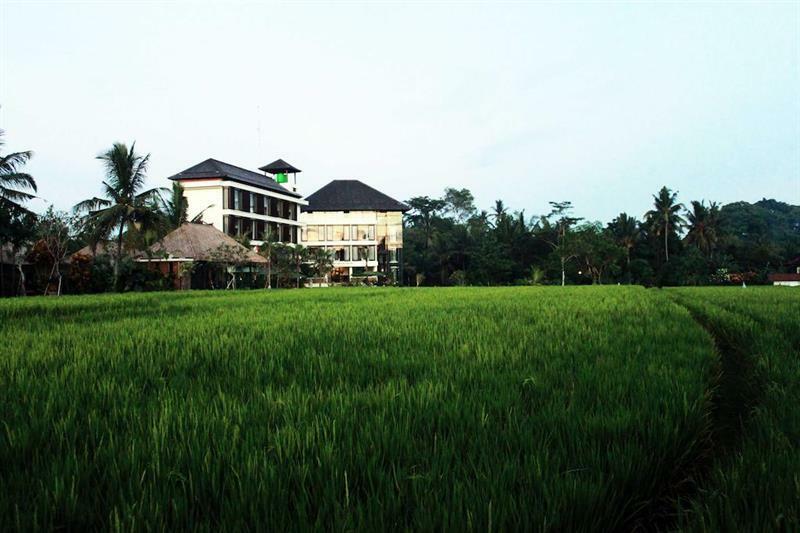 Bening Bungalow Ubud Eksteriør billede