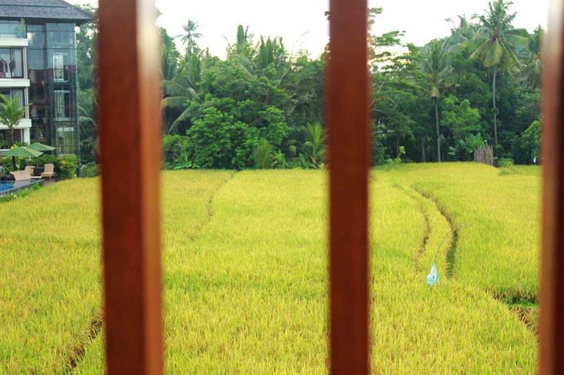 Bening Bungalow Ubud Eksteriør billede